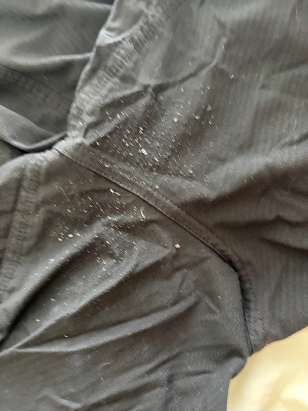 Dance Studio Mid Rise Pant - Picture 3 of 4